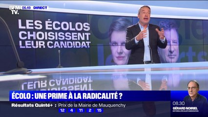 Rousseau ou Jadot: qui va remporter la primaire écolo ?