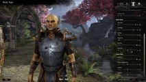Elder Scrolls Online: Character Creation