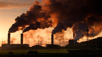 'People have many different routes:' Climate scientist calls for action