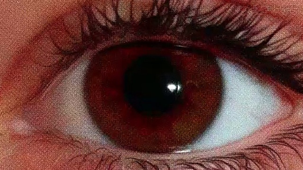 Dead Synchronicity: Trailer