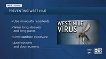 Maricopa County records record West Nile Virus levels