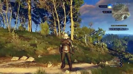 Witcher 3: Demostración NVidia GDC