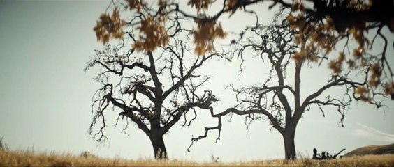 WWE 2K16: Stone Cold Steve Austin en Portada