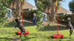 'Competitive French Bulldog plays swingball like a Pro'