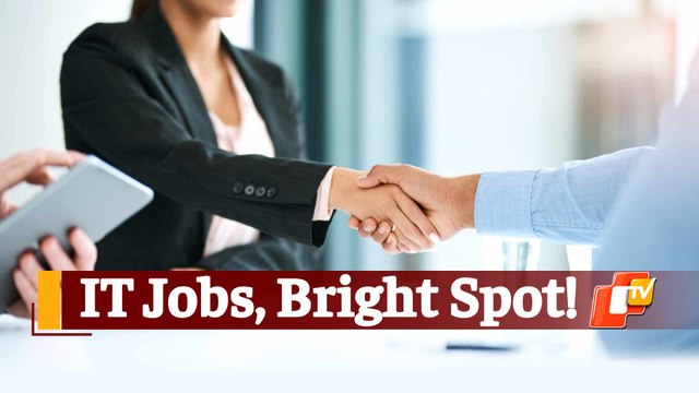 TCS, Infosys, Other IT Giants Hiring: 70-120 Per Cent Salary Hike For Joinees