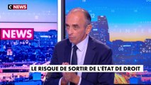 Eric Zemmour : «Les juges sont devenus une machine de guerre idéologique»