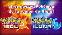 Villanos del Team Skull + Nuevos Pokémon