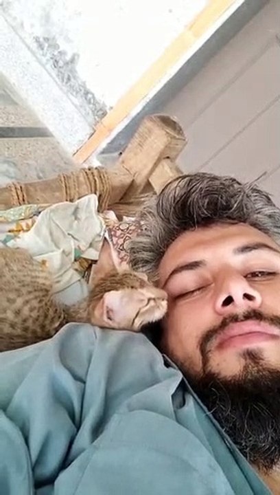 cat kittens love for me do u like it
