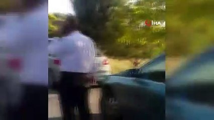 Ankara'da yol kenarına bırakılan 50 yavru köpekten 20’si öldü