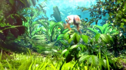 Monster Hunter Stories: Cinemática de Apertura