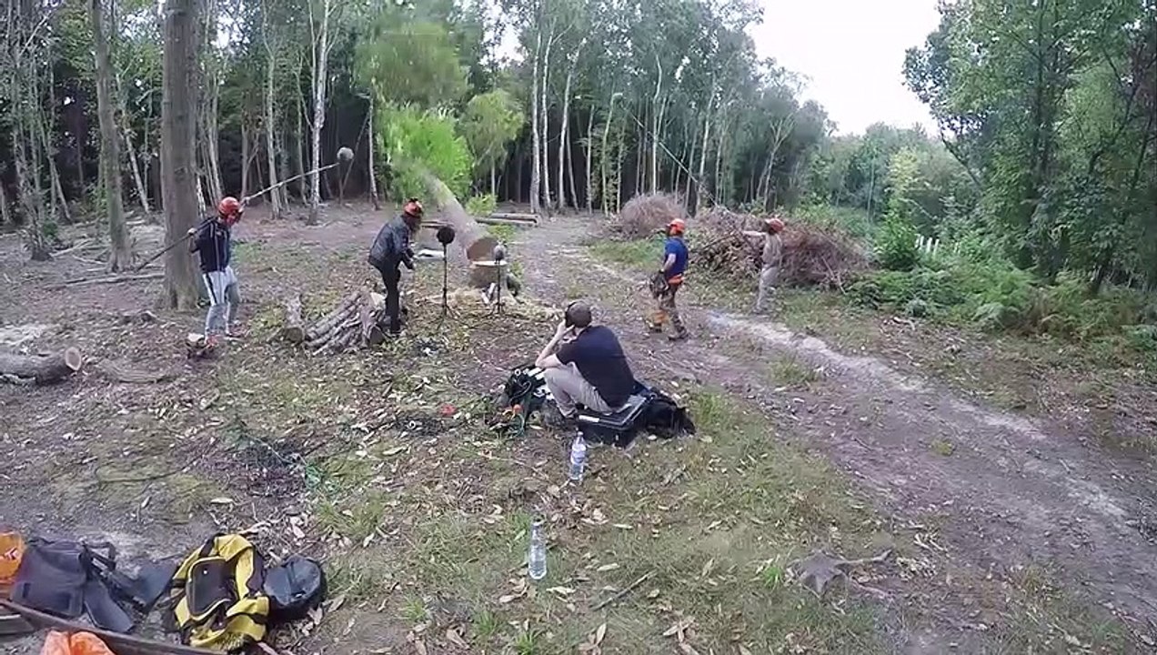 Warhammer Elfos Silvanos: Diario de Desarrollo: Elfos Silvanos