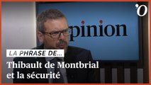 Annonces de Macron sur la sécurité: «On est dans l’incantatoire», regrette Thibault de Montbrial