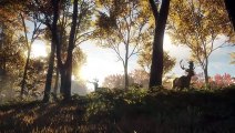 theHunter Call of the Wild: Fecha de Lanzamiento