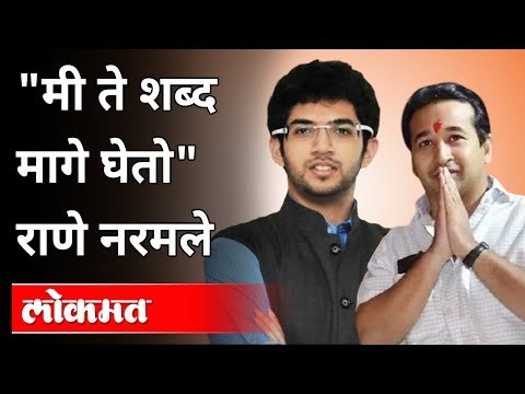 मी ते शब्द मागे घेतो राणे नरमले |Nitesh Rane on Aditya Thackeray | Vidhan Sabha | Maharashtra News