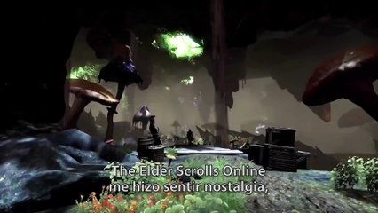 Elder Scrolls Morrowind: Un nuevo capítulo en Vvardenfell