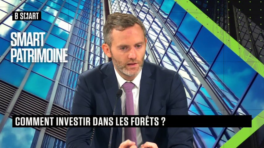 Investir dans les forêts, c’est possible !