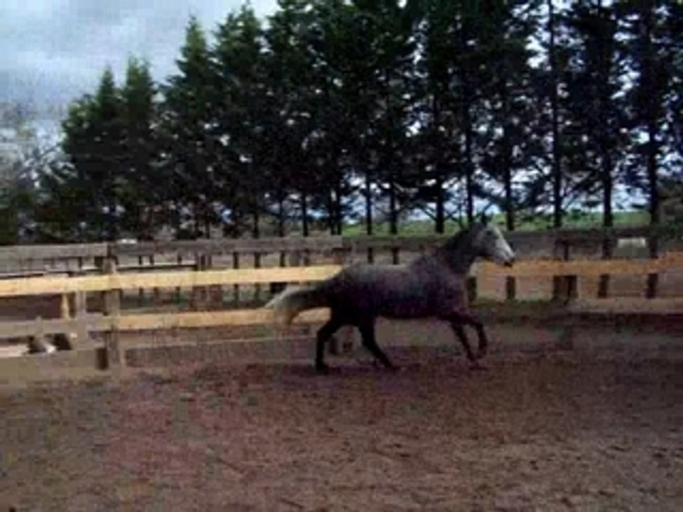 lanarond