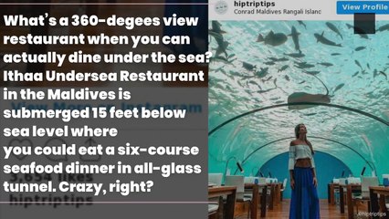 3 Of The World’s Most Unique Dining Experience