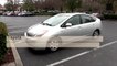 5 Reasons to Go For A Toyota Prius