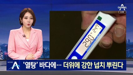 ‘열탕’ 바닷물에 집단 폐사…더위에 강한 넙치 나온다