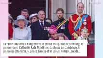 Le prince Harry imite sa grand-mère la reine à la télévision : 