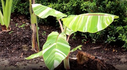 เรื่องพลบค่ำ ช่วงที่ 3 วันอังคารที่ 21 ก.ย.64