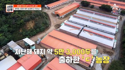 정육점 사장님이 왜 돼지 농장에 계세요...? 돼지 사육에 대한 지식이 남다른 갑부