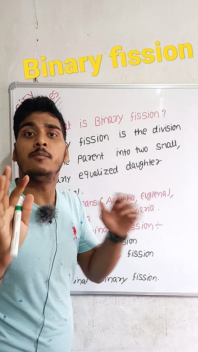 Binary fission | Binary fission in Hindi | Binary fission biology | what is binary fission #cityclasses