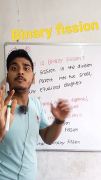 Binary fission | Binary fission in Hindi | Binary fission biology | what is binary fission #cityclasses