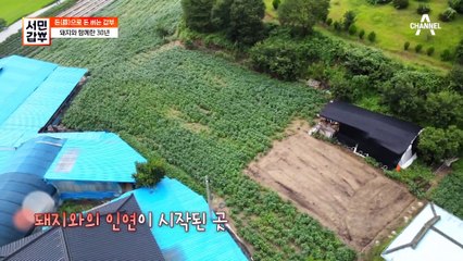 갑부가 돼지와 함께한 30년, 그 뒤에는 부모님의 돼지 축사가 있다?