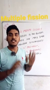 Multiple fission | multiple fission in Hindi | multiple fission biology | what is multiple fission #cityclasses