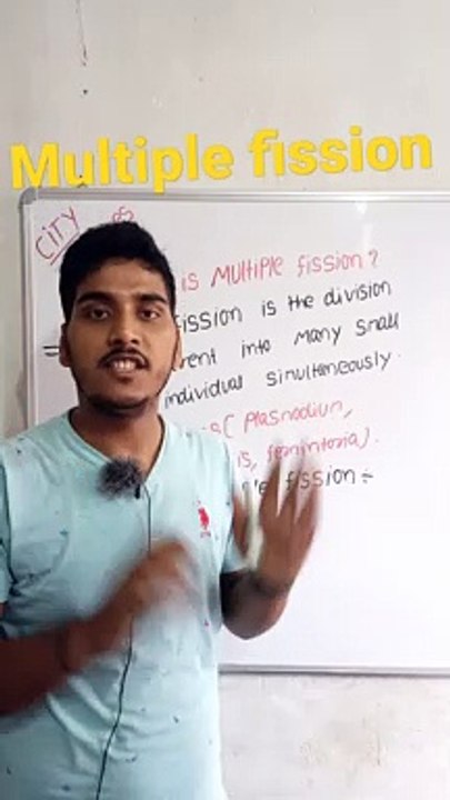 Multiple fission | multiple fission in Hindi | multiple fission biology | what is multiple fission #cityclasses