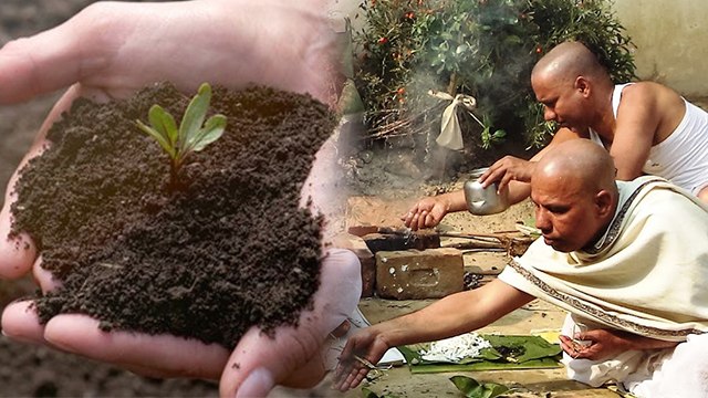 Pitru Paksha 2021: पितरों को खुश करने के लिए पितृ पक्ष 2021 में लगाएं ये पौधा | Boldsky