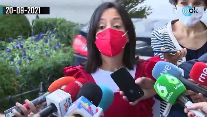 La delegada del Gobierno en Madrid sobre la manifestación neonazi