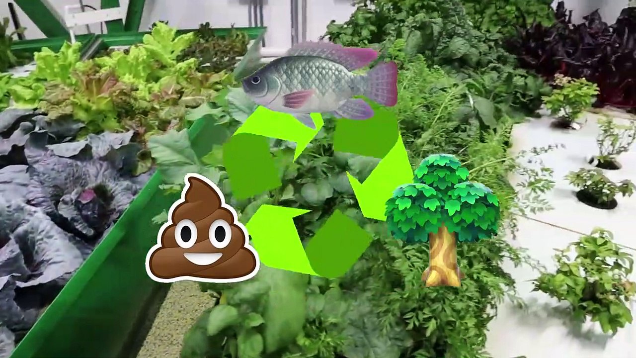 Mr Beast  Spent 24 Hours In A Doomsday Bunker