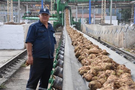 ESKİŞEHİR'DE PANCARLAR FABRİKAYA TESLİM EDİLMEYE BAŞLADI; 130 BİN TON ŞEKER ÜRETİLECEK