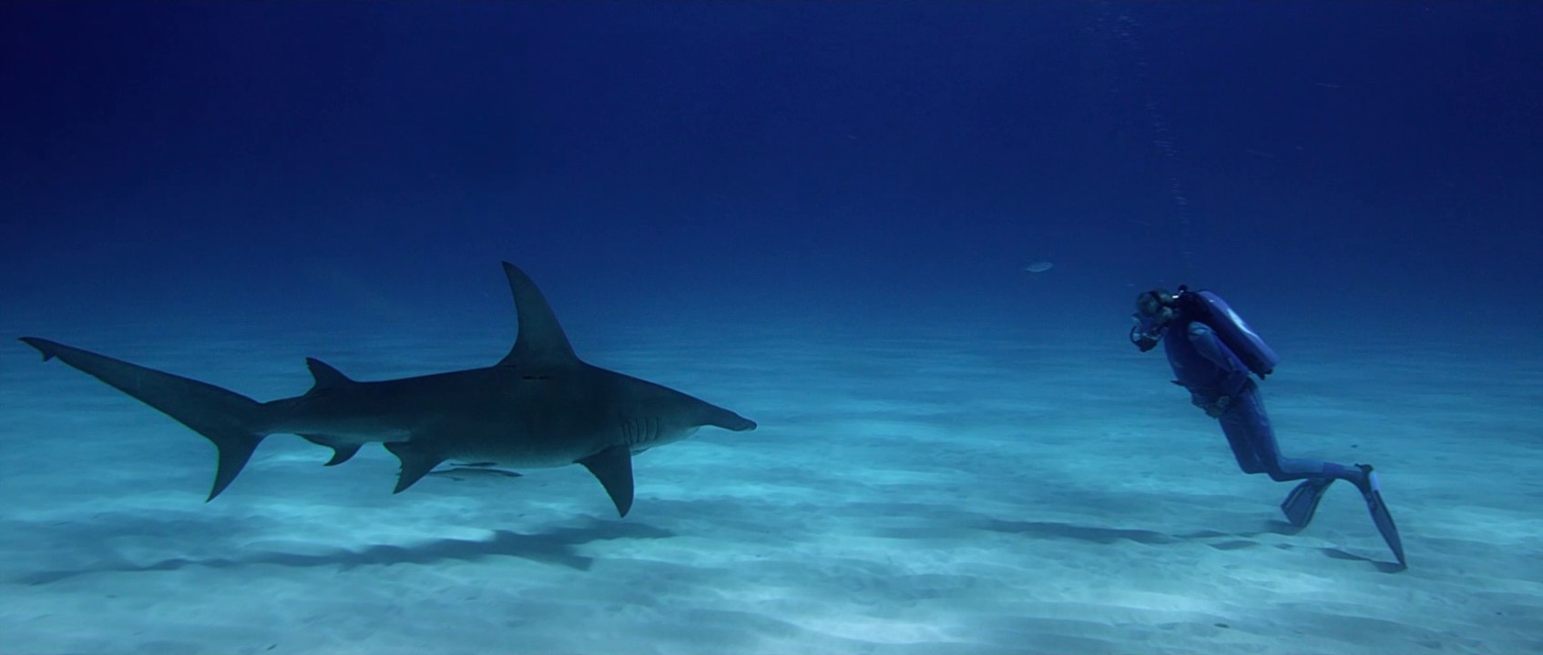 Wonders of the Sea - Trailer (Deutsch) HD