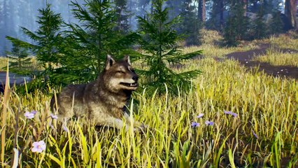 Caza, pesca y supervivencia en el nuevo tráiler de Open Country: pronto en PC, PS4 y Xbox one