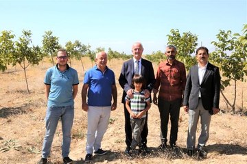 Tuşba Belediyesi'nin öncülük ettiği 'Model ceviz-badem' bahçelerinde ürün alınmaya başlandı