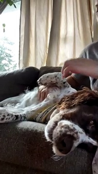 Gagging Dog Makes Goofy Noise