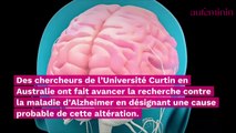 Des chercheurs ont trouvé la cause probable de la maladie d’Alzheimer