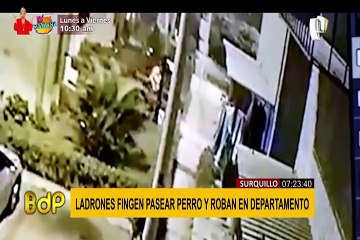 Criminales organizados fingen pasear perro para robar vivienda de octogenario