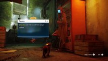 Tráiler gameplay de Stray, una hermosa aventura ciberpunk protagonizada por un gato callejero