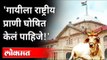 गायीला राष्ट्रीय प्राणी घोषित करण्याची मागणी का? Allahabad HC Wants Cows To Be National Animal