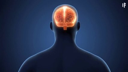 What If We Used the Full Capacity of Our Brains