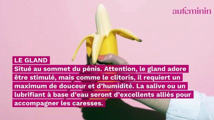 Zones érogènes chez l’homme : les trouver, les stimuler