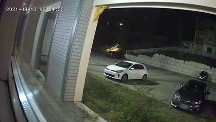 Bear Climbs All Over Car Looking for a Snack
