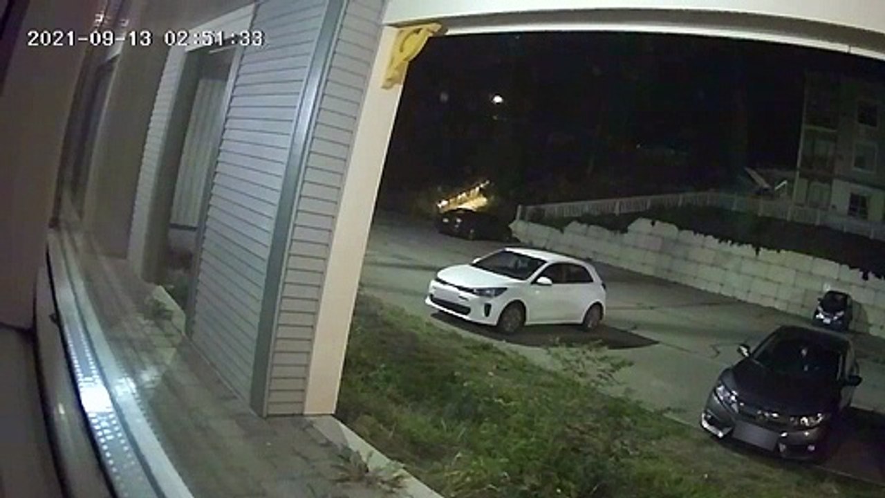Bear Climbs All Over Car Looking for a Snack