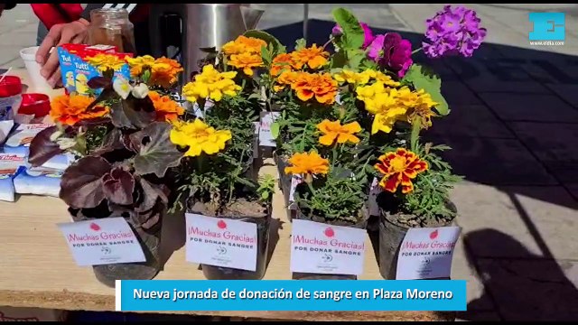Nueva jornada de donación de sangre en Plaza Moreno