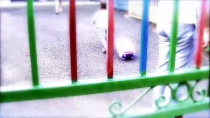 LE JOURNAL DE LA QUOTIDIENNE : Le journal du mardi 21 septembre 2021